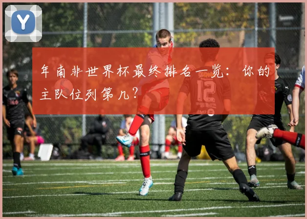 年南非世界杯最终排名一览：你的主队位列第几？