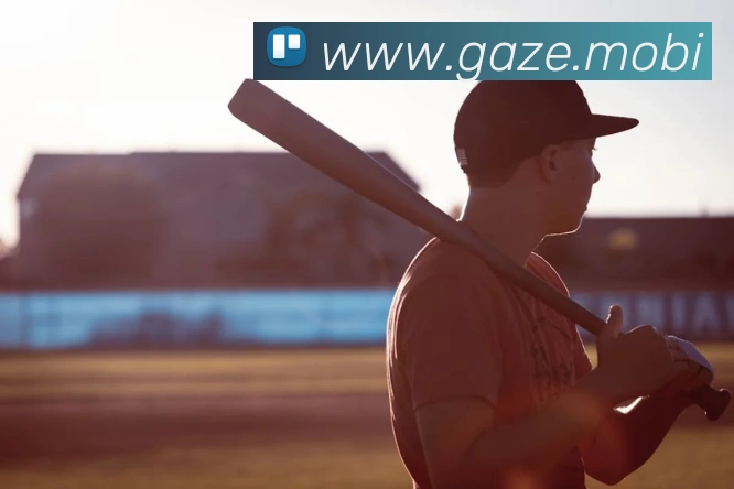 半岛官网首页平台生态图