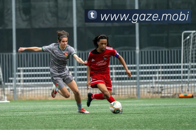 奖项图1